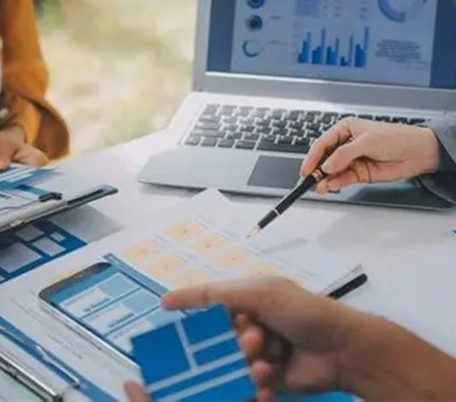 Financial Audit